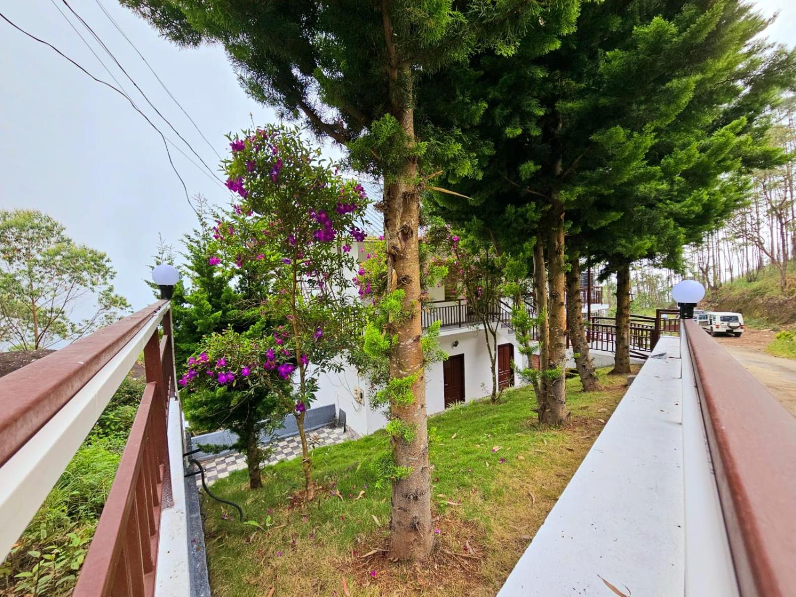 Rock And Mist Munnar Bed & Breakfast Devikolam ภายนอก รูปภาพ
