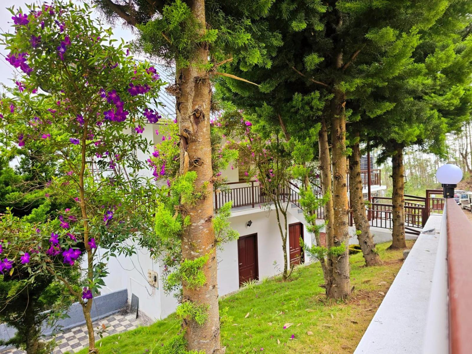 Rock And Mist Munnar Bed & Breakfast Devikolam ภายนอก รูปภาพ